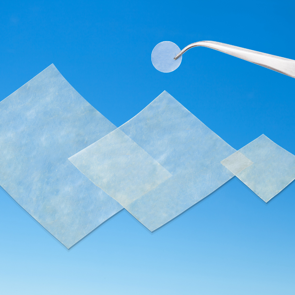 Skin Substitutes & Grafts